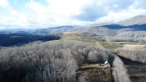 Taranaki Property Market