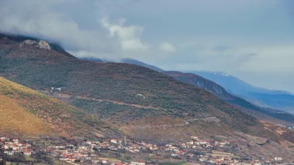 Waikato Property Market