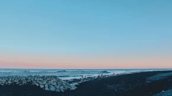 Nelson Property Market min